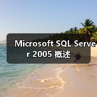 Microsoft SQL Server 2005 概述(图3) Microsoft SQL Server 2005 概述(图3)