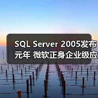 SQL Server 2005发布元年 微软正身企业级应用(图3) SQL Server 2005发布元年 微软正身企业级应用(图3)