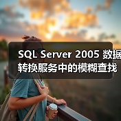SQL Server 2005 数据转换服务中的模糊查找和模糊分组(1)(图3) SQL Server 2005 数据转换服务中的模糊查找和模糊分组(1)(图3)