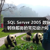 SQL Server 2005 数据转换服务的常见设计问题(图1) SQL Server 2005 数据转换服务的常见设计问题(图1)