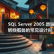 SQL Server 2005 数据转换服务的常见设计问题(图2) SQL Server 2005 数据转换服务的常见设计问题(图2)