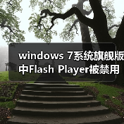 windows 7系统旗舰版中Flash Player被禁用怎么办？windows 7系统（图1）