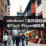 windows 7系统旗舰版中Flash Player被禁用怎么办？windows 7系统（图3）