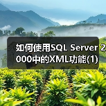 如何使用SQL Server 2000中的XML功能(1)（图3）