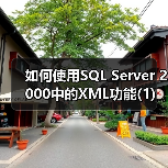 如何使用SQL Server 2000中的XML功能(1)（图4）