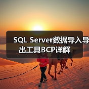 SQL Server数据导入导出工具BCP详解（图4）