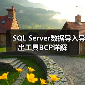 SQL Server数据导入导出工具BCP详解（图3）