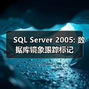 SQL Server 2005: 数据库镜象跟踪标记（图4）