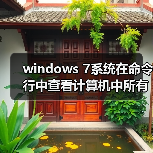 windows 7系统在命令行中查看计算机中所有卷标的详细信息（图4）
