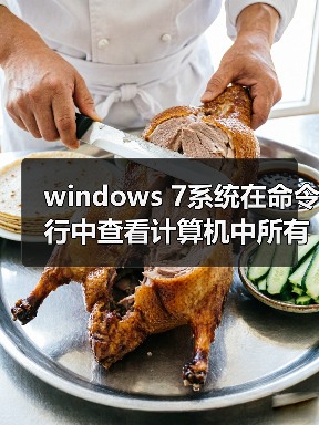 windows 7系统在命令行中查看计算机中所有卷标的详细信息（图1）