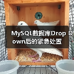 MySQL数据库Drop Down后的紧急处置（图2）