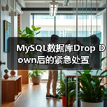 MySQL数据库Drop Down后的紧急处置（图3）