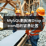 MySQL数据库Drop Down后的紧急处置（图1）