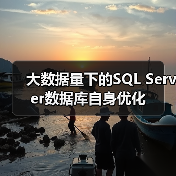 大数据量下的SQL Server数据库自身优化（图3）