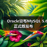 Oracle宣布MySQL 5.6正式版发布（图2）