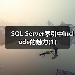 SQL Server索引中include的魅力(1)（图1）