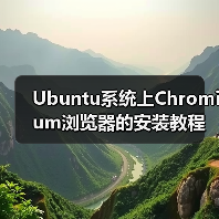 Ubuntu系统上Chromium浏览器的安装教程（图4）