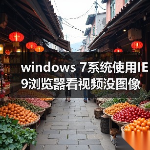 windows 7系统使用IE9浏览器看视频没图像怎么办？使用IE9浏览器（图3）