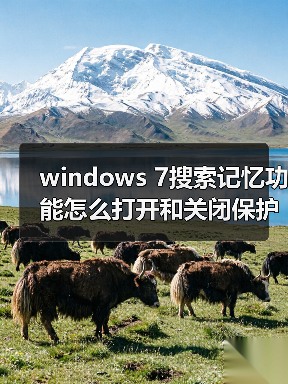 windows 7搜索记忆功能怎么打开和关闭保护个人隐私（图3）