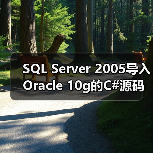 SQL Server 2005导入Oracle 10g的C#源码（图3）