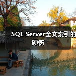 SQL Server全文索引的硬伤（图2）