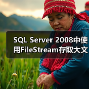 SQL Server 2008中使用FileStream存取大文件实例介绍（图1）