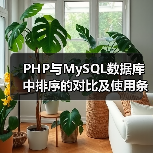 PHP与MySQL数据库中排序的对比及使用条件详解（图3）
