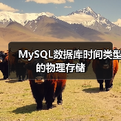 MySQL数据库时间类型的物理存储（图4）