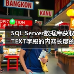 SQL Server数据库获取TEXT字段的内容长度的方法（图1）