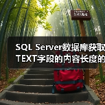 SQL Server数据库获取TEXT字段的内容长度的方法（图3）