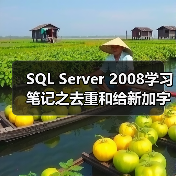 SQL Server 2008学习笔记之去重和给新加字段赋值(图2) SQL Server 2008学习笔记之去重和给新加字段赋值(图2)