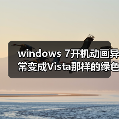 windows 7开机动画异常变成Vista那样的绿色滚动条的解决方法(图1) windows 7开机动画异常变成Vista那样的绿色滚动条的解决方法(图1)