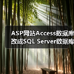 ASP网站Access数据库改成SQL Server数据库的实现过程（图1）