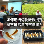 如何用结构化数据提升搜索排名与内容影响力（图4）