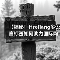 【揭秘！Hreflang多语言标签如何助力国际网站优化排名】（图1）