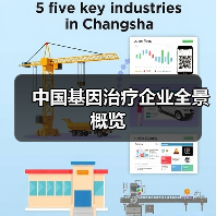 中国基因治疗企业全景概览(图2) 中国基因治疗企业全景概览(图2)