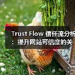 Trust Flow 信任流分析：提升网站可信度的关键指标揭秘（图1）
