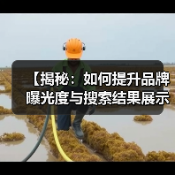 【揭秘：如何提升品牌曝光度与搜索结果展示的可见性】（图4）