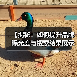 【揭秘：如何提升品牌曝光度与搜索结果展示的可见性】（图1）
