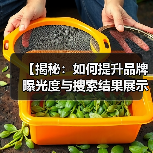 【揭秘：如何提升品牌曝光度与搜索结果展示的可见性】（图3）