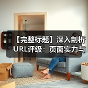 【完整标题】深入剖析URL评级：页面实力与内链权重传递的秘密武器（图1）