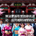 算法更新引发的排名波动：应对规则调整的实战策略揭秘（图3）