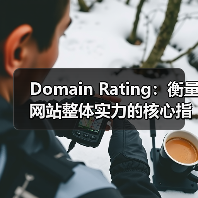 Domain Rating：衡量网站整体实力的核心指标解析（图4）