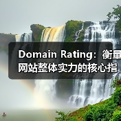 Domain Rating：衡量网站整体实力的核心指标解析（图2）