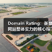 Domain Rating：衡量网站整体实力的核心指标解析（图3）
