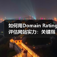 如何用Domain Rating评估网站实力：关键指标全解析（图1）
