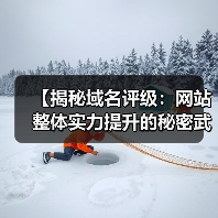【揭秘域名评级：网站整体实力提升的秘密武器】（图4）