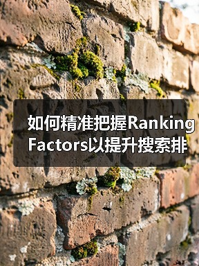 如何精准把握Ranking Factors以提升搜索排名？（图4）