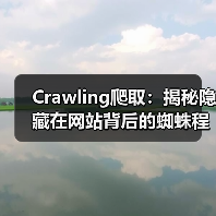 Crawling爬取：揭秘隐藏在网站背后的蜘蛛程序（图4）