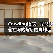 Crawling爬取：揭秘隐藏在网站背后的蜘蛛程序（图1）